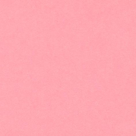 Bristol colorline 50x70 gr.220 fg.25 rosa conf.