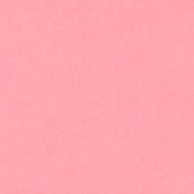 Bristol colorline 50x70 gr.220 fg.25 rosa conf.