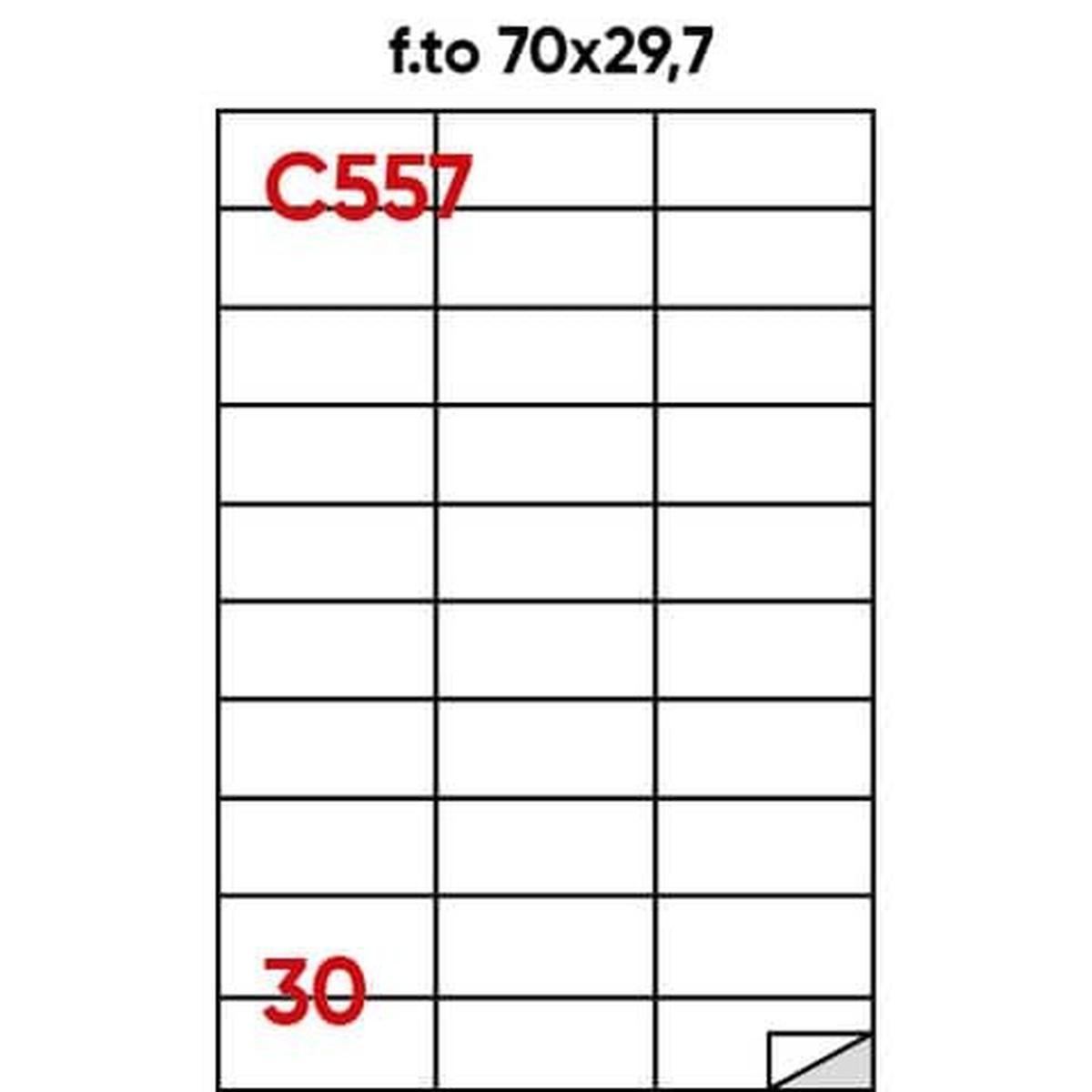 Cf.100  etichette ades. form. a4 70x29.7