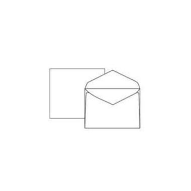 Buste  bianche monique gr120 18x24 pz.250