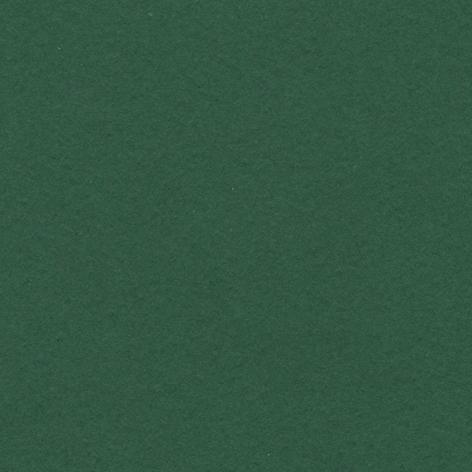 Bristol colorline 50x70 gr.220 fg.25 verde abete