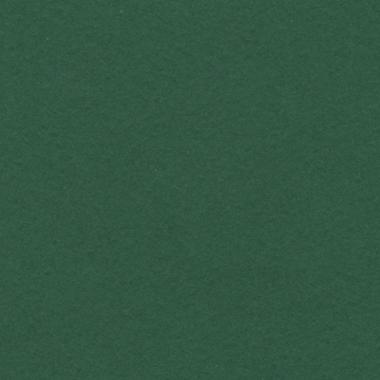 Bristol colorline 50x70 gr.220 fg.25 verde abete