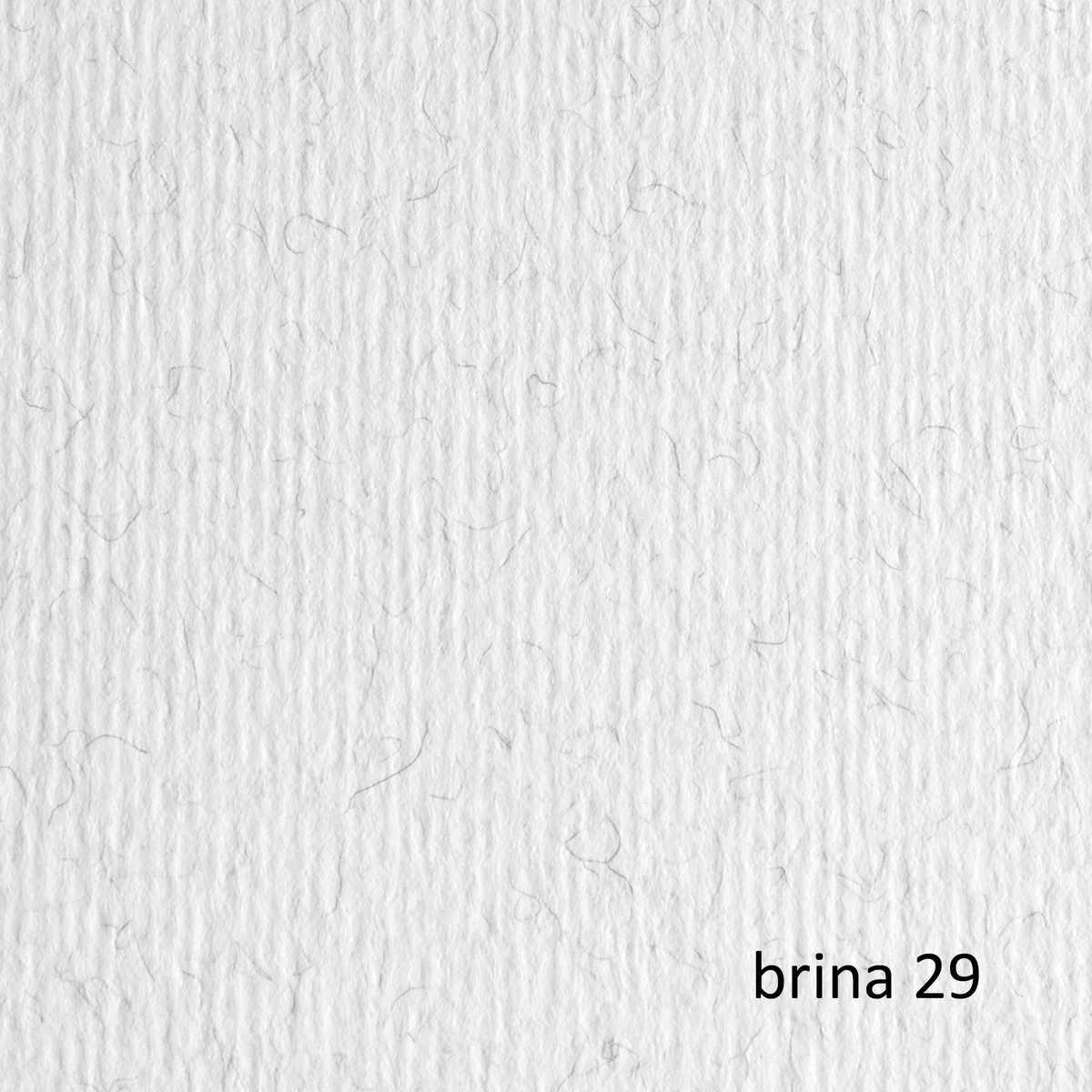 Bristol l/r gr.220 70x100 fg.10 brina