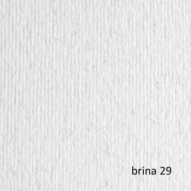 Bristol l/r gr.220 70x100 fg.10 brina
