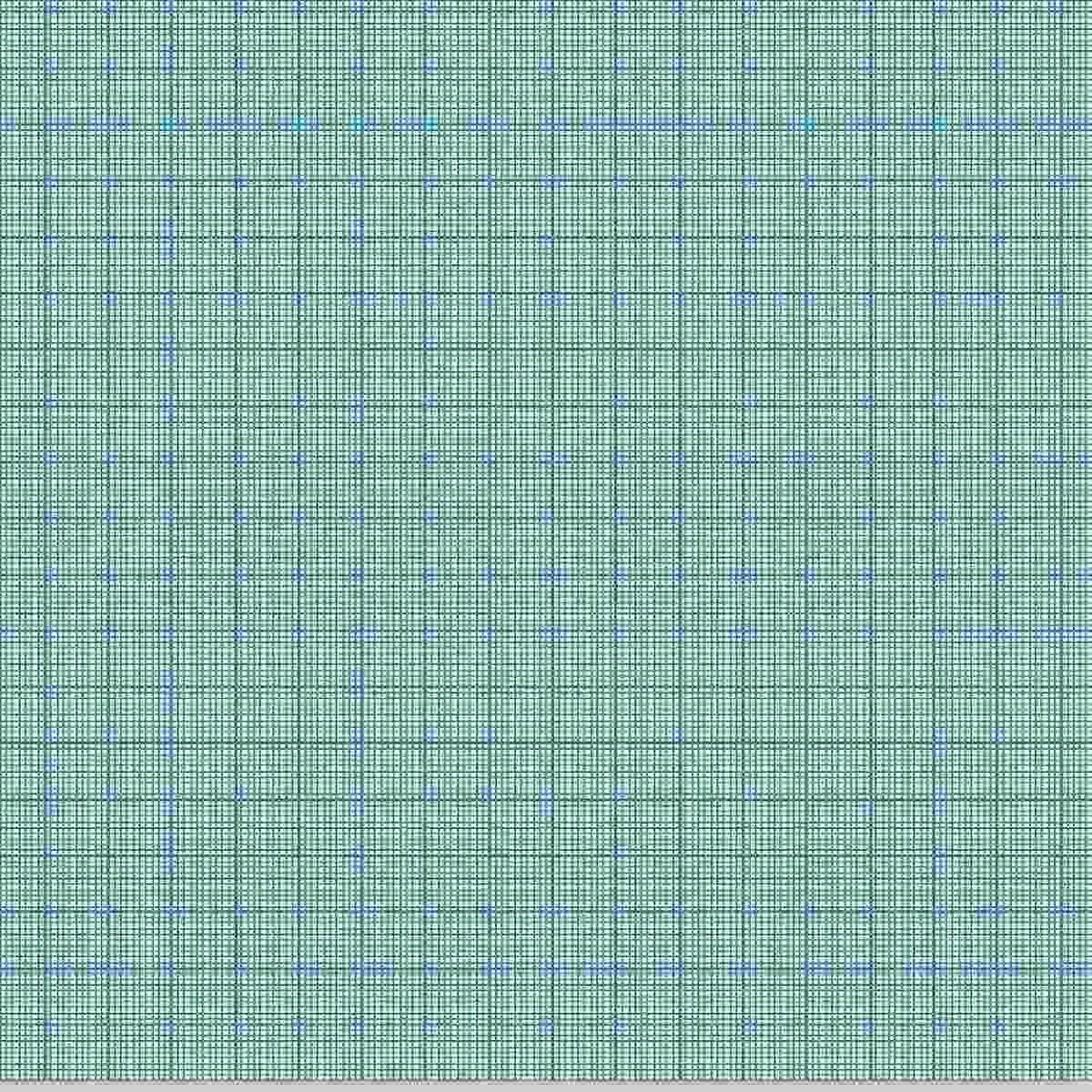 Blocco carta millimetrata a4 10fg