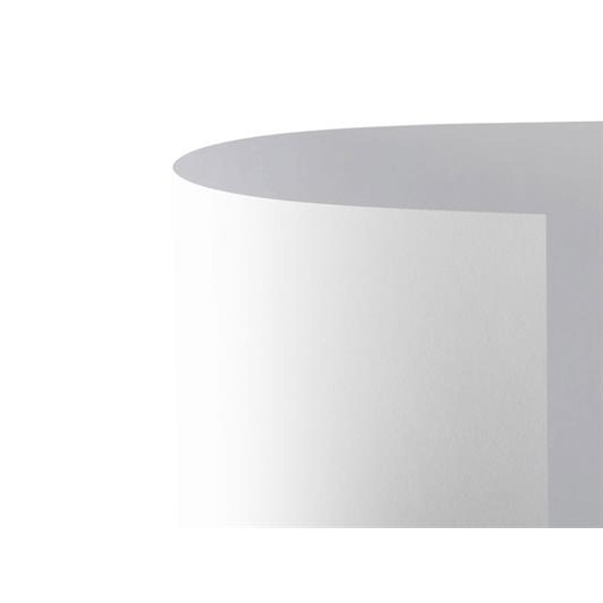 Bristol 70x100 prisma 220gr bianco fg10