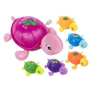 Pina la tartarughina