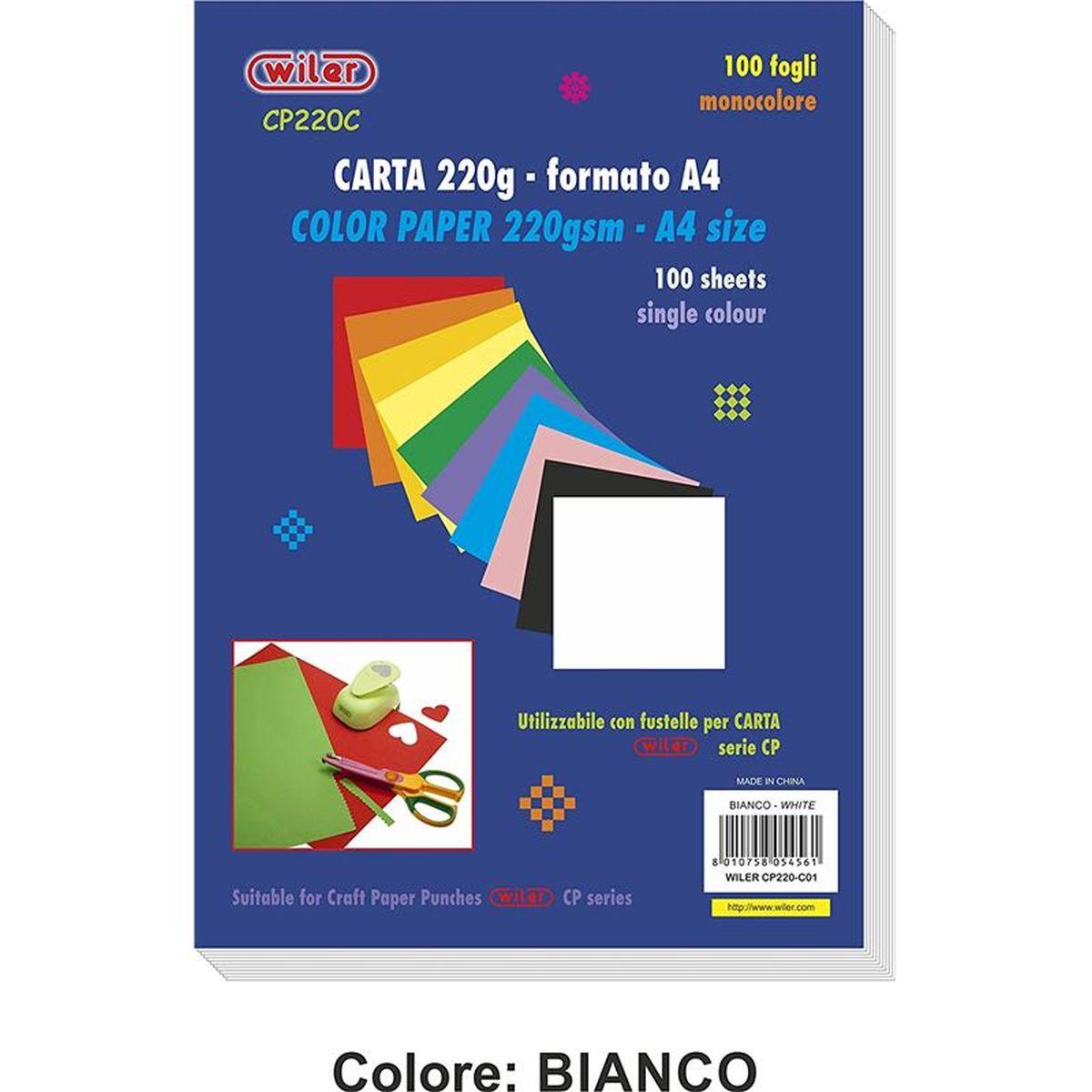 carta colorata 220gsm A4 100fg 10 col. ASS.