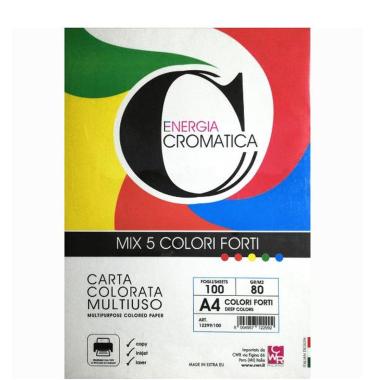 Carta a4 160gr col. forti ass. 100fg cromatica