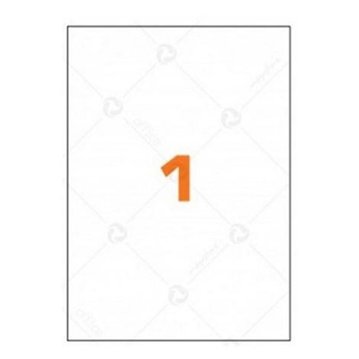 Cf.100 etichette ades. su a4  210x297