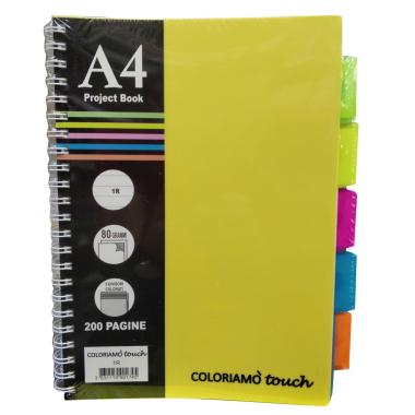 Maxi spiralato ppl coloriamo 100fg c/divisori 5m