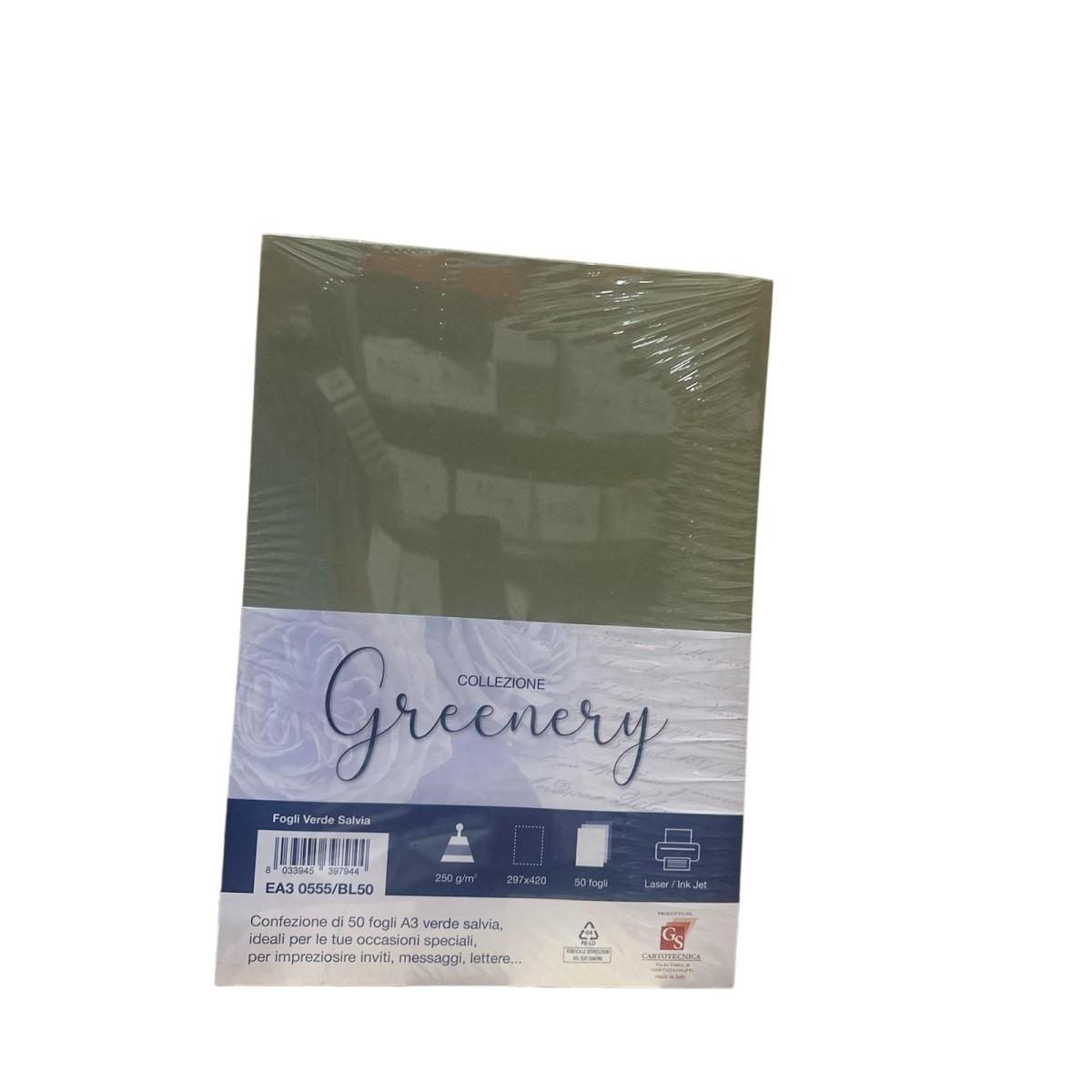 Blister 50 fogli a3 250gr verde salvia