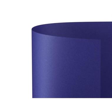 Bristol 50x70 prisma 220gr blu 26 fg20