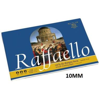 Album raffaello 24x33 ff.10 pm. 10mm