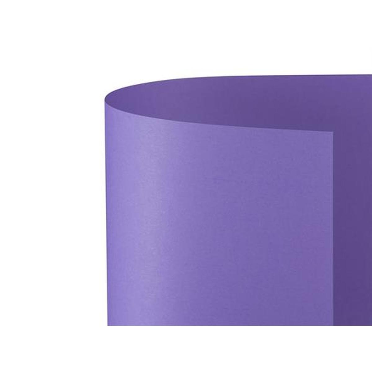 Bristol 70x100 prisma 220gr viola fg10