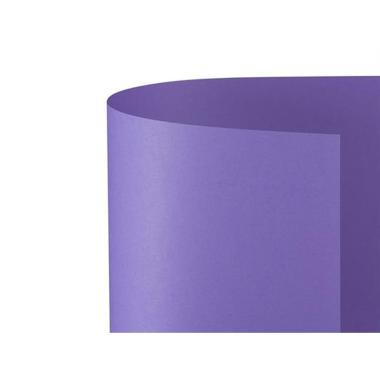 Bristol 70x100 prisma 220gr viola fg10