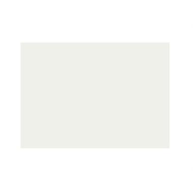 Bristol prisma 35x50 220gr cf20 bianco