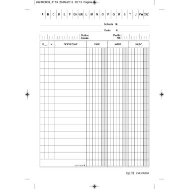 Schede dare avere saldo 17x12 cf100