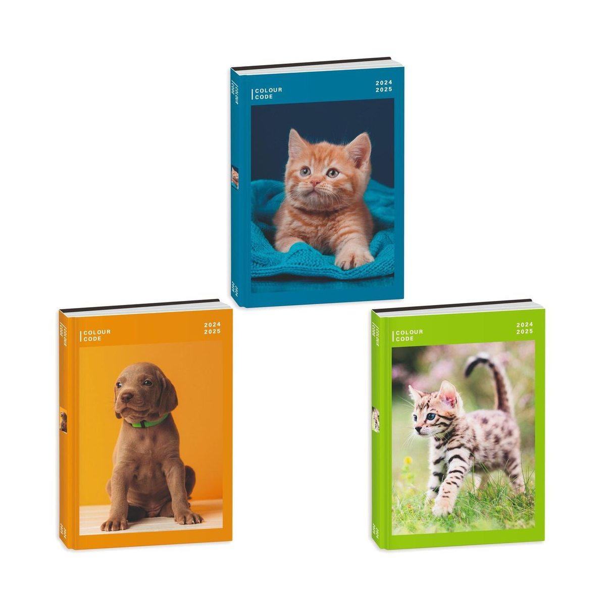 Diario ag.10m datato colour code animal