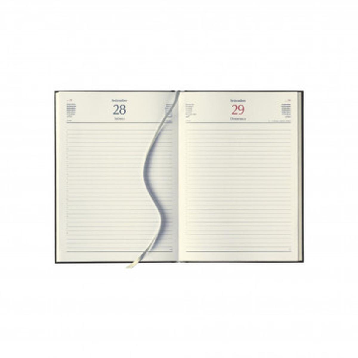 Interno giornaliero 15x21 sabato e domenica separati