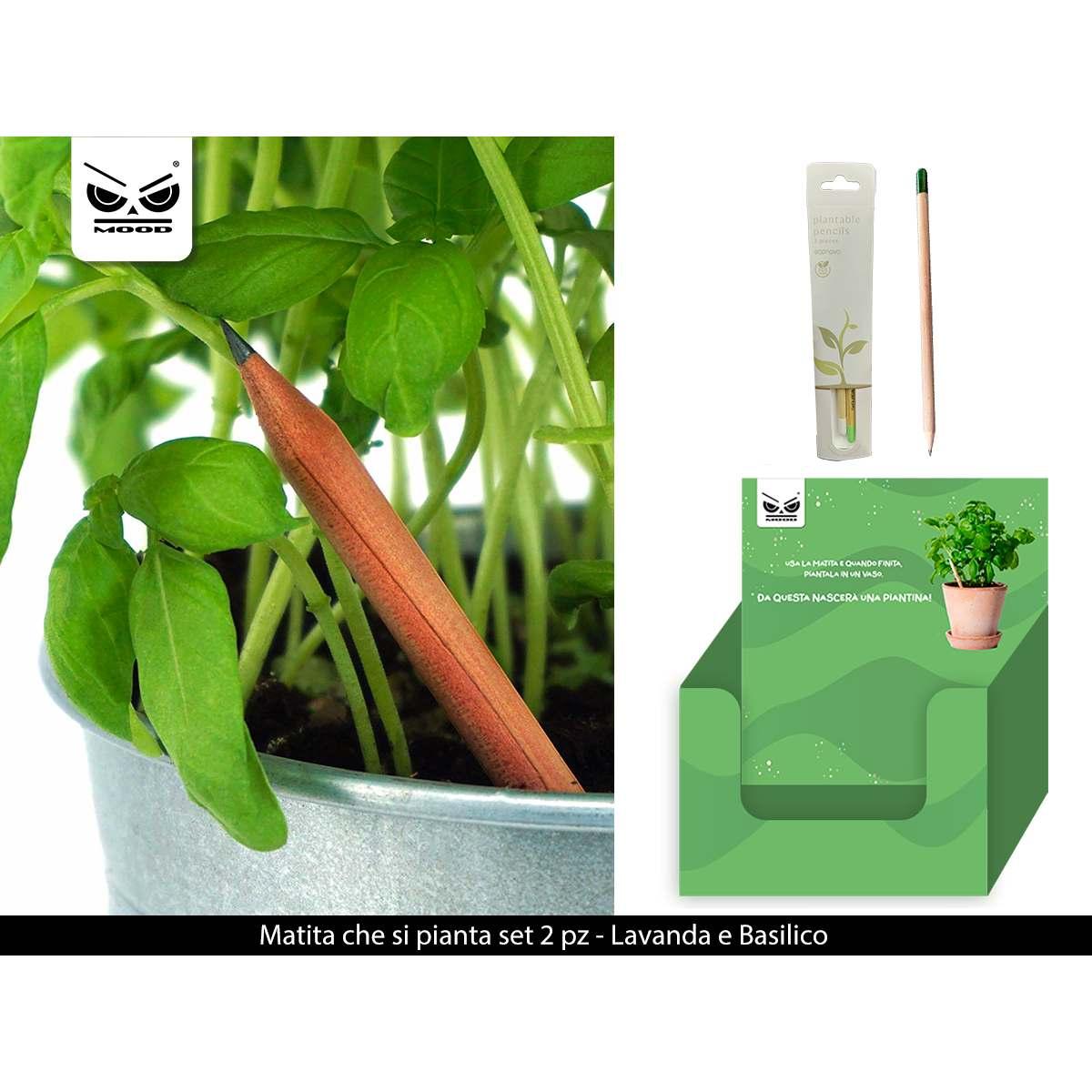 Matita che si pianta set 2 pz lavanda e basilico