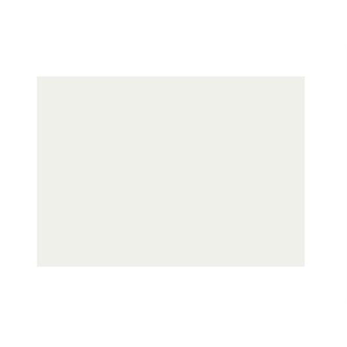 Bristol colorline 70x100 gr.220 fg.25 bianco