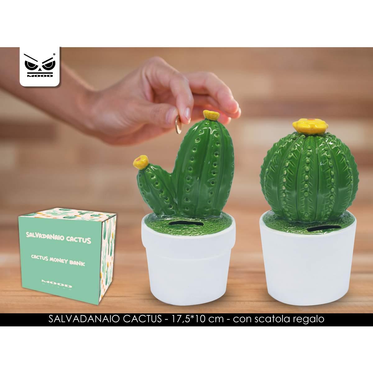Salvadanaio cactus in ceramica