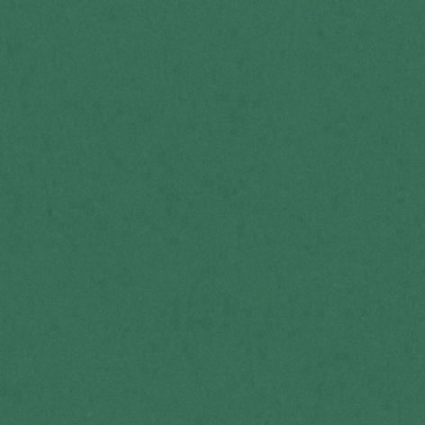 Bristol colorline 50x70 gr.220 fg.25 verde muschio