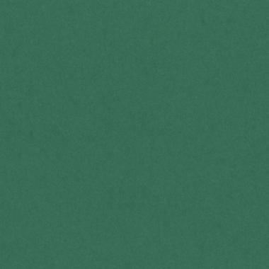 Bristol colorline 50x70 gr.220 fg.25 verde muschio