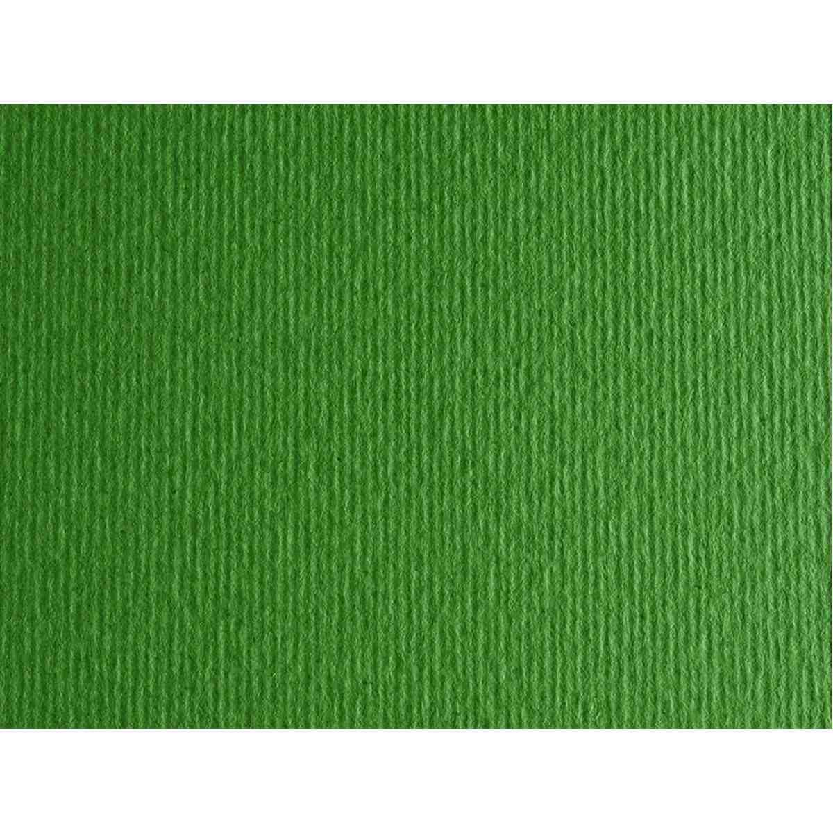 Bristol l/r gr.220 70x100 fg.10 verde