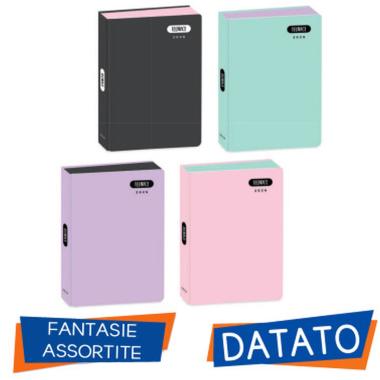 Diario std 12m pastello teenace diari