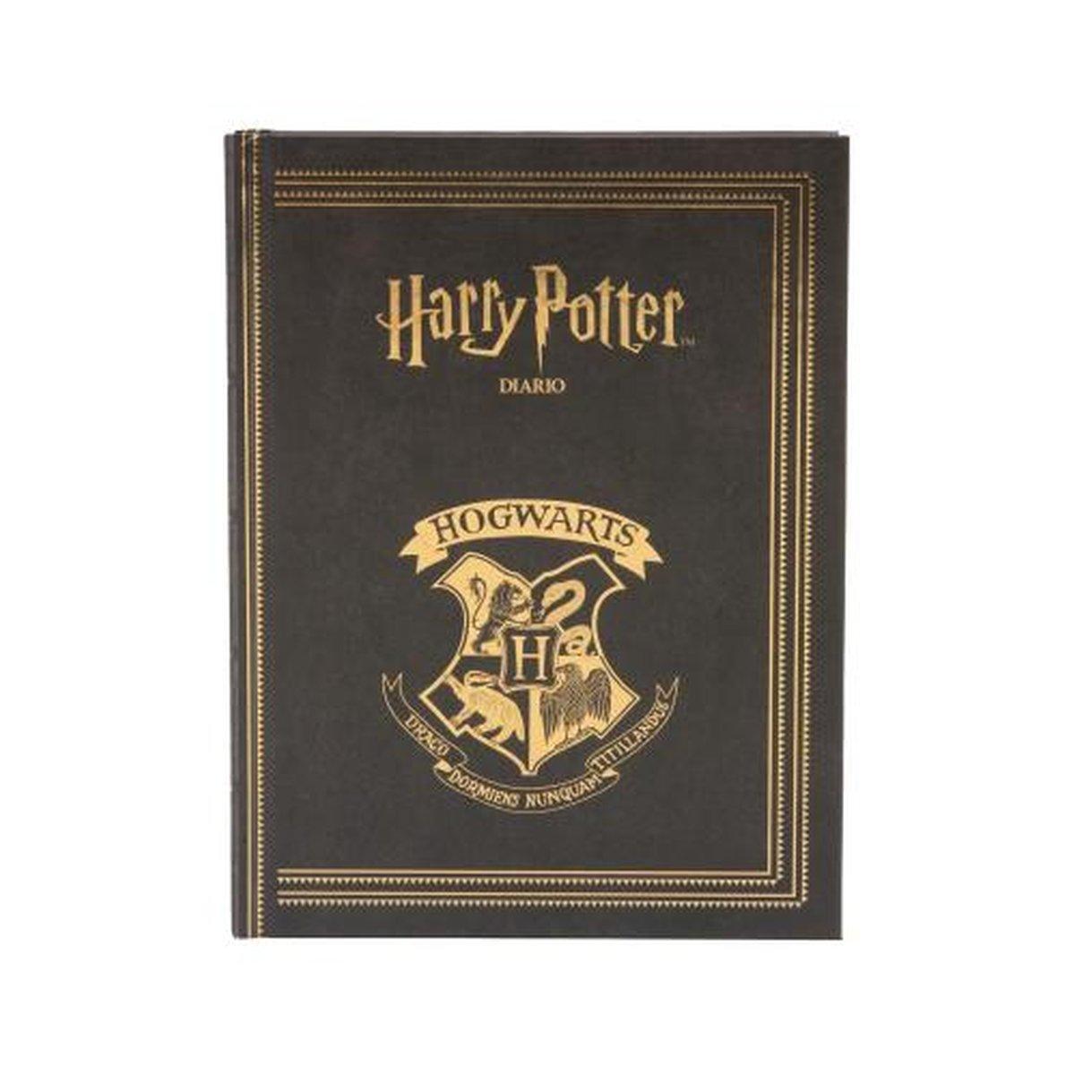 Diario harry potter 10 mesi std 25