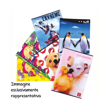 Maxi quaderni 20+1 80gr rigo 10mm con margine