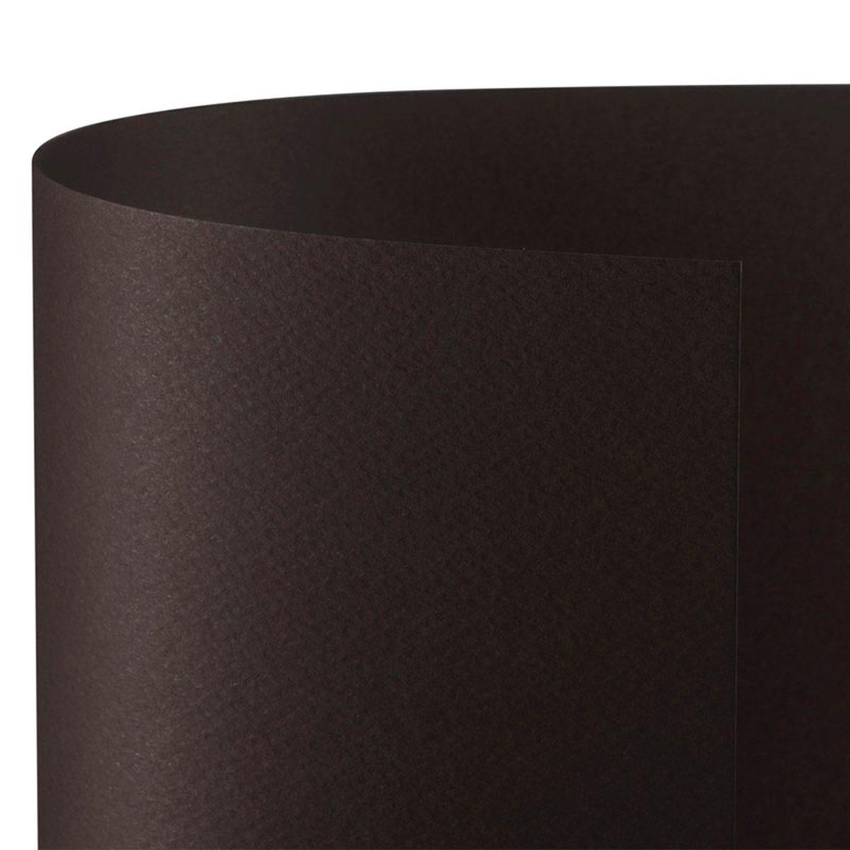 Bristol 70x100 prisma 220gr caffe' 07 fg10