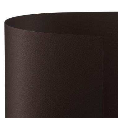 Bristol 70x100 prisma 220gr caffe' 07 fg10