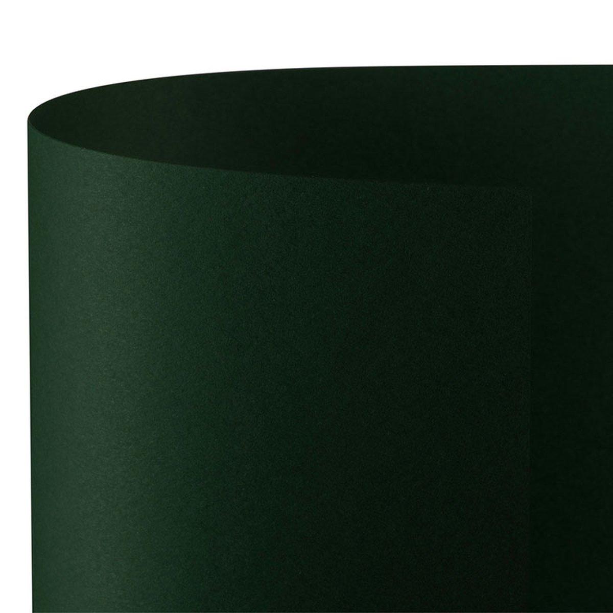 Bristol 70x100 prisma 220gr verde pino fg10