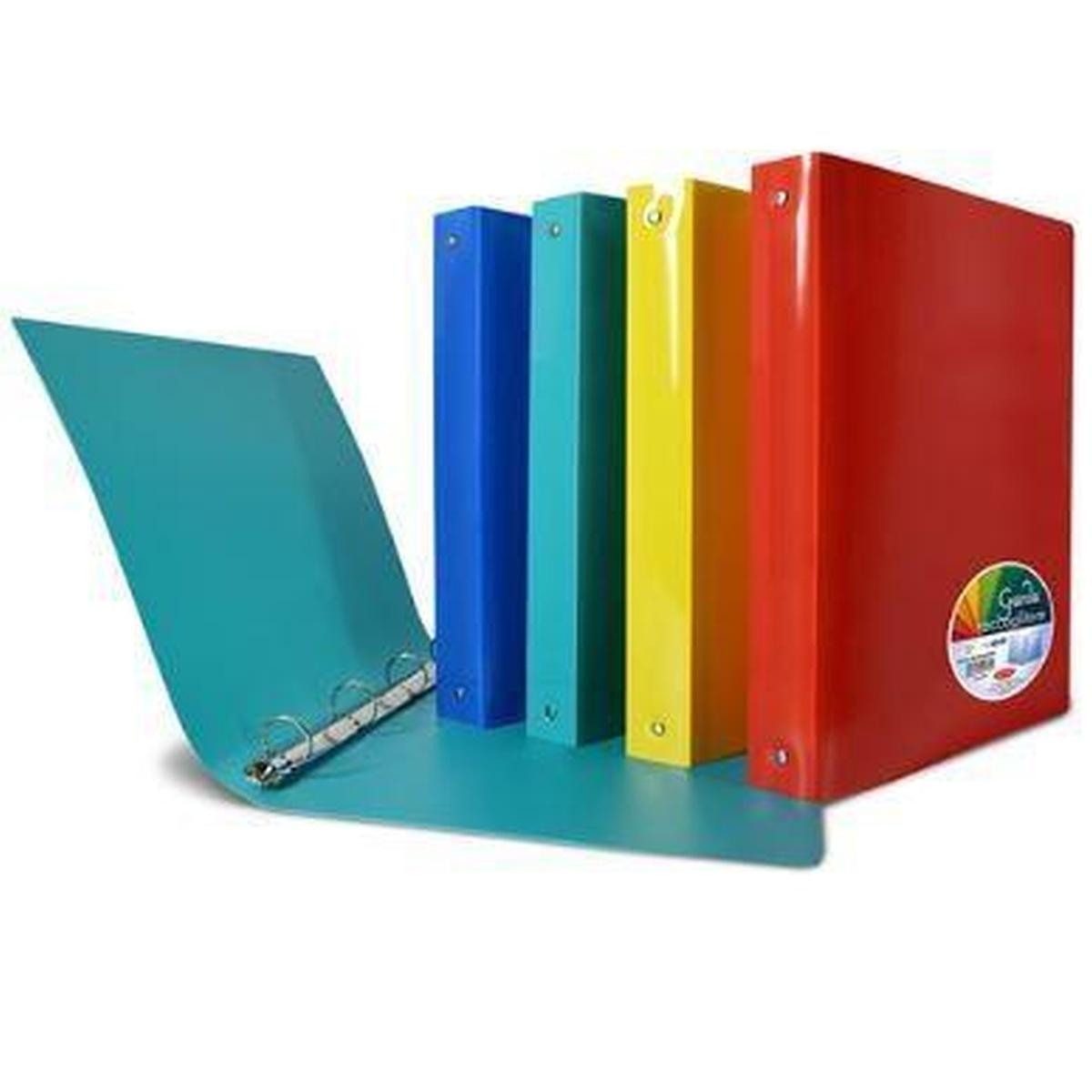 Raccoglitore 4 anelli ppl garda d.16 ass.