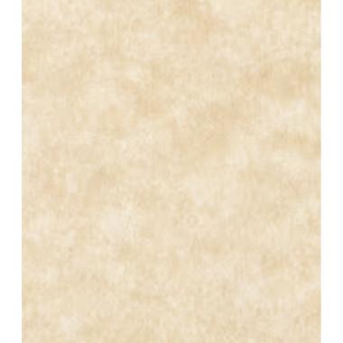 Blister 50 fg a3 gr,180 speciale nuvolato rosa