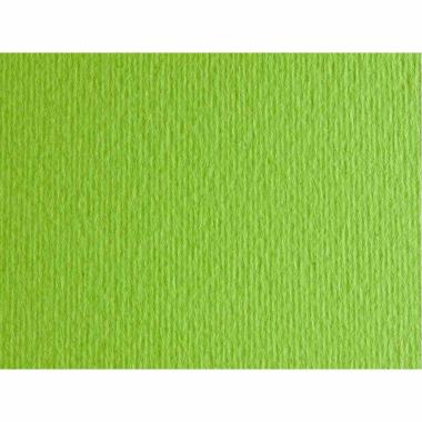 Bristol l/r gr.220 70x100 fg.10 verde pisello