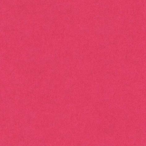 Bristol colorline 50x70 gr.220 fg.25 fuxia