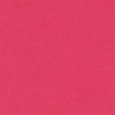 Bristol colorline 50x70 gr.220 fg.25 fuxia