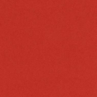 Bristol colorline 50x70 gr.220 fg.25 rosso vivo
