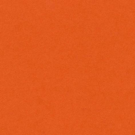 Bristol colorline 50x70 gr.220 fg.25 arancione