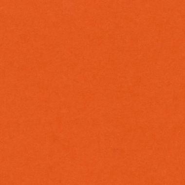 Bristol colorline 50x70 gr.220 fg.25 arancione