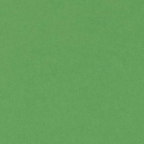 BRISTOL COLORLINE 50X70 GR.220 FG.25 verde brillante