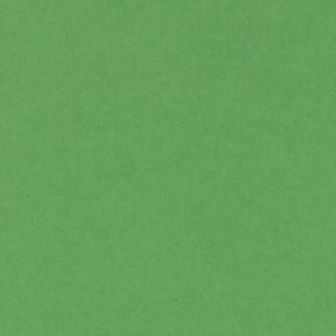 BRISTOL COLORLINE 50X70 GR.220 FG.25 verde brillante