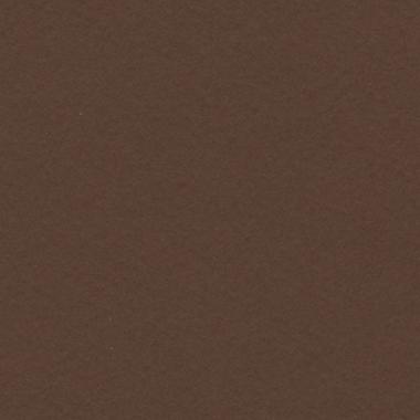 BRISTOL COLORLINE 50X70 GR.220 FG.25 cioccolato