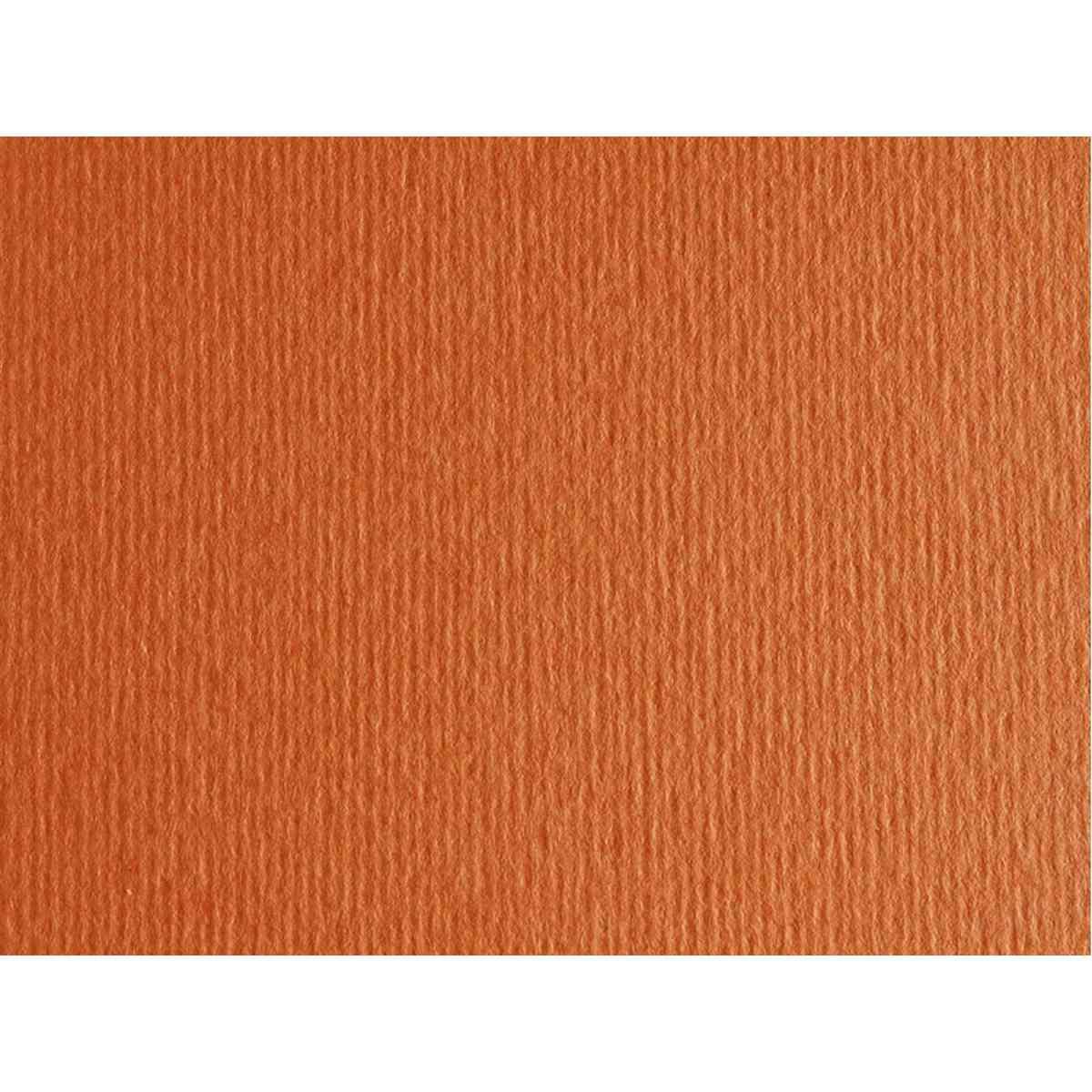 Bristol l/r gr.220 50x70 fg.20 aragosta