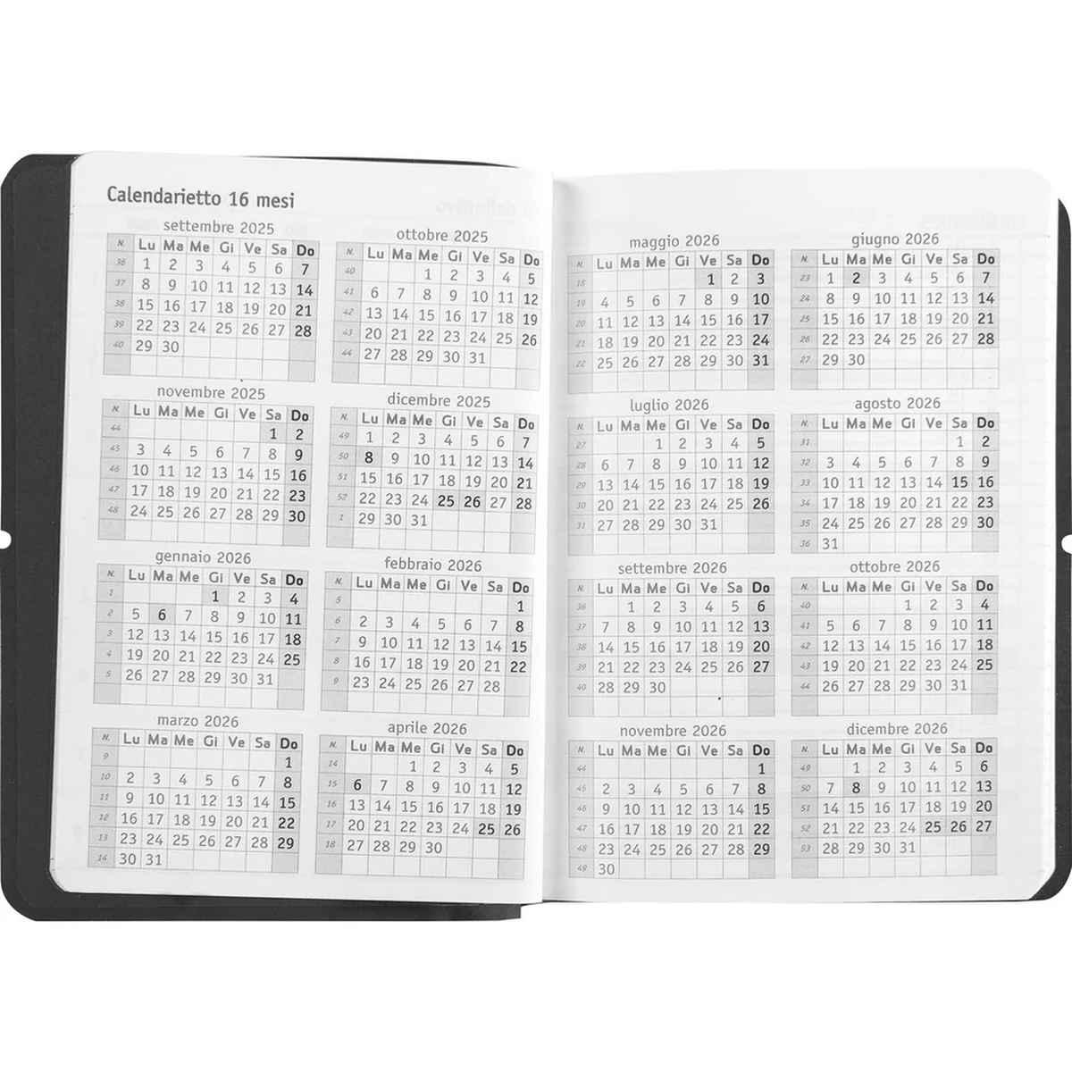 Agenda 16m day comix yourself 25