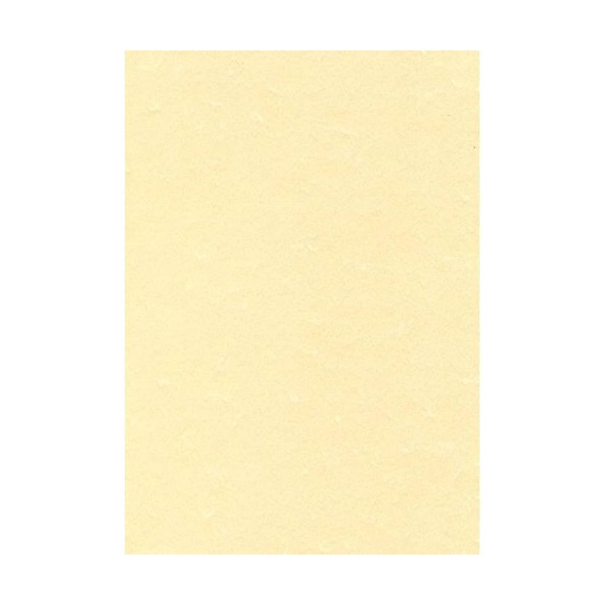 Blister 10 fg a3 pergamena avorio gr.160